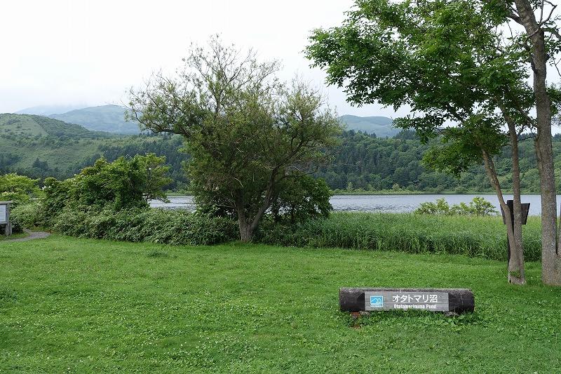 Display image page 画像