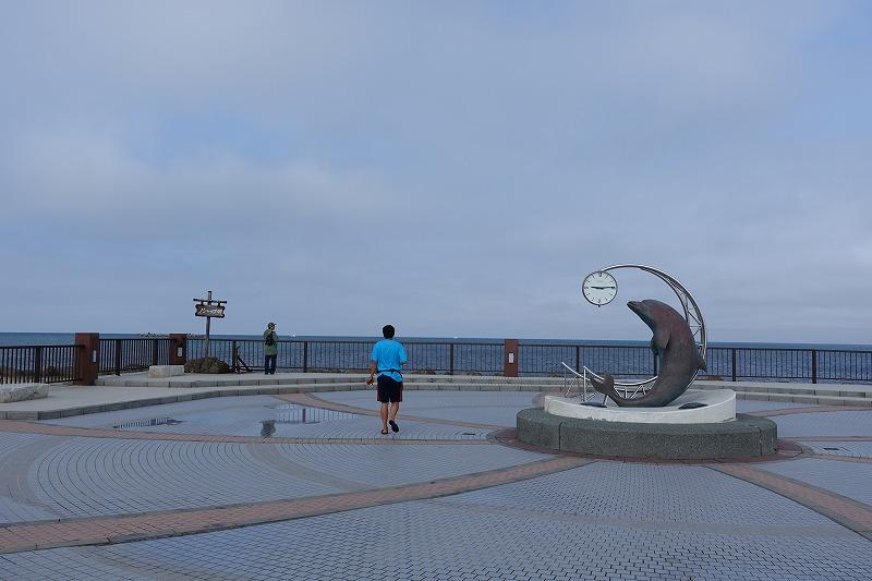 Display image page 画像