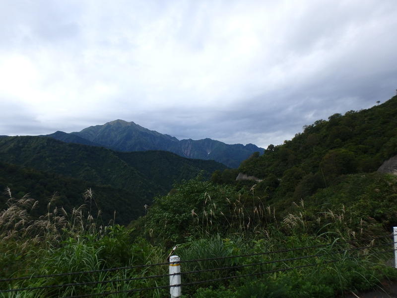 Display image page 画像