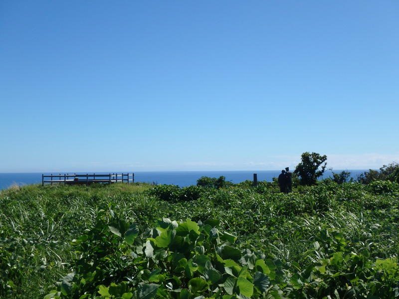 Display image page 画像