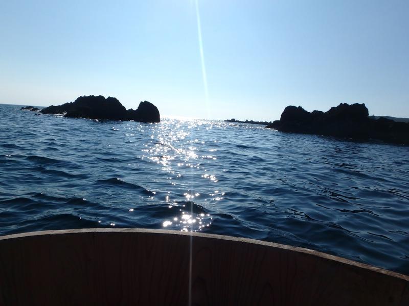 Display image page 画像