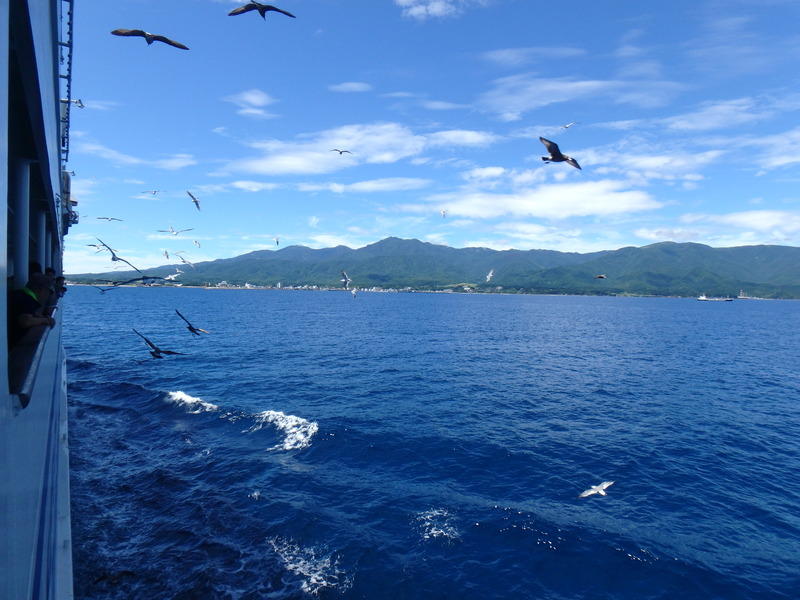 Display image page 画像