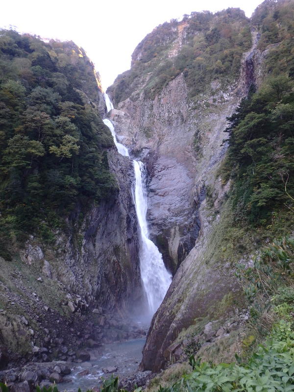 Display image page 画像