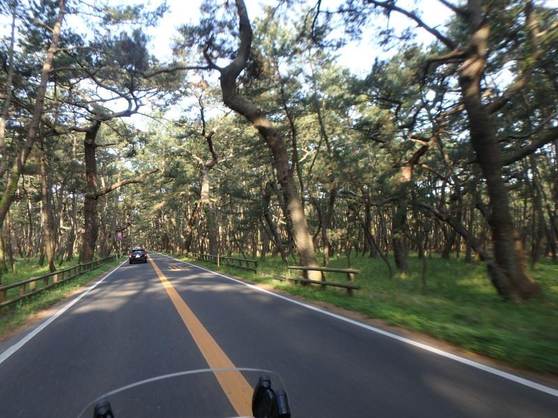 Display image page 画像