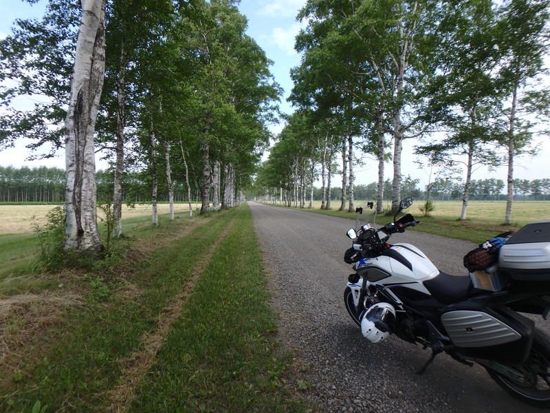 Display image page 画像