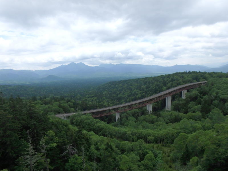 Display image page 画像