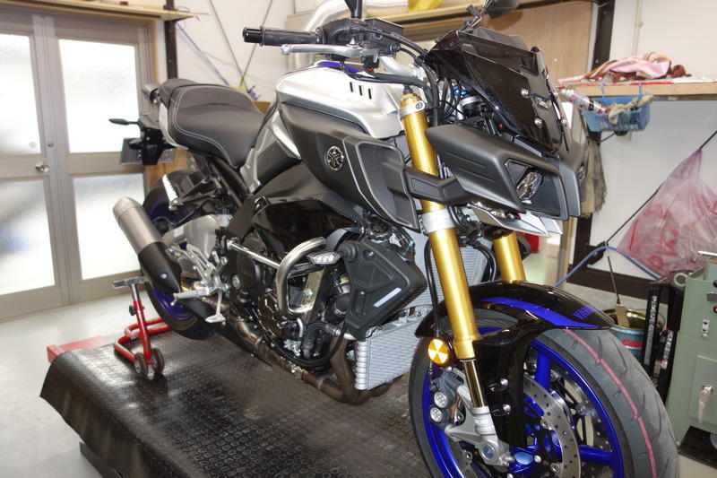 yamaha mt 10 crash protectors