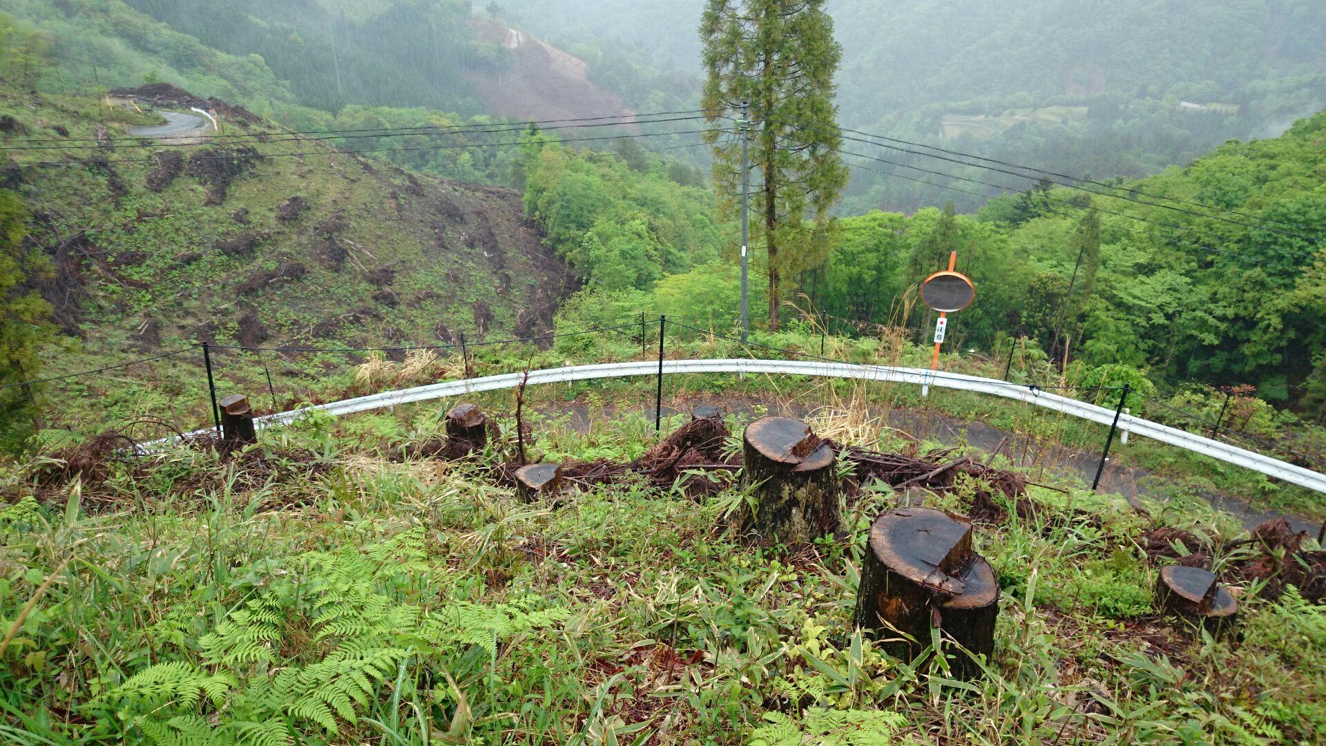 Display image page 画像