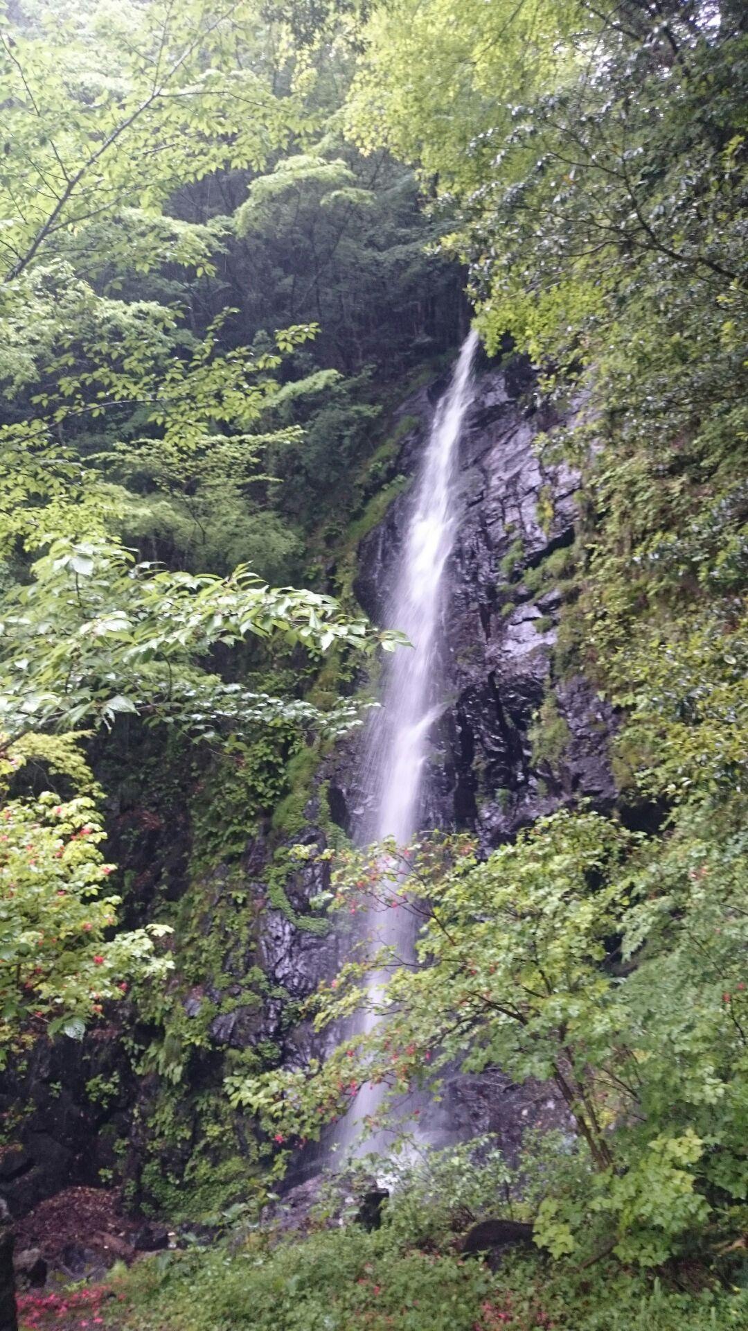 Display image page 画像