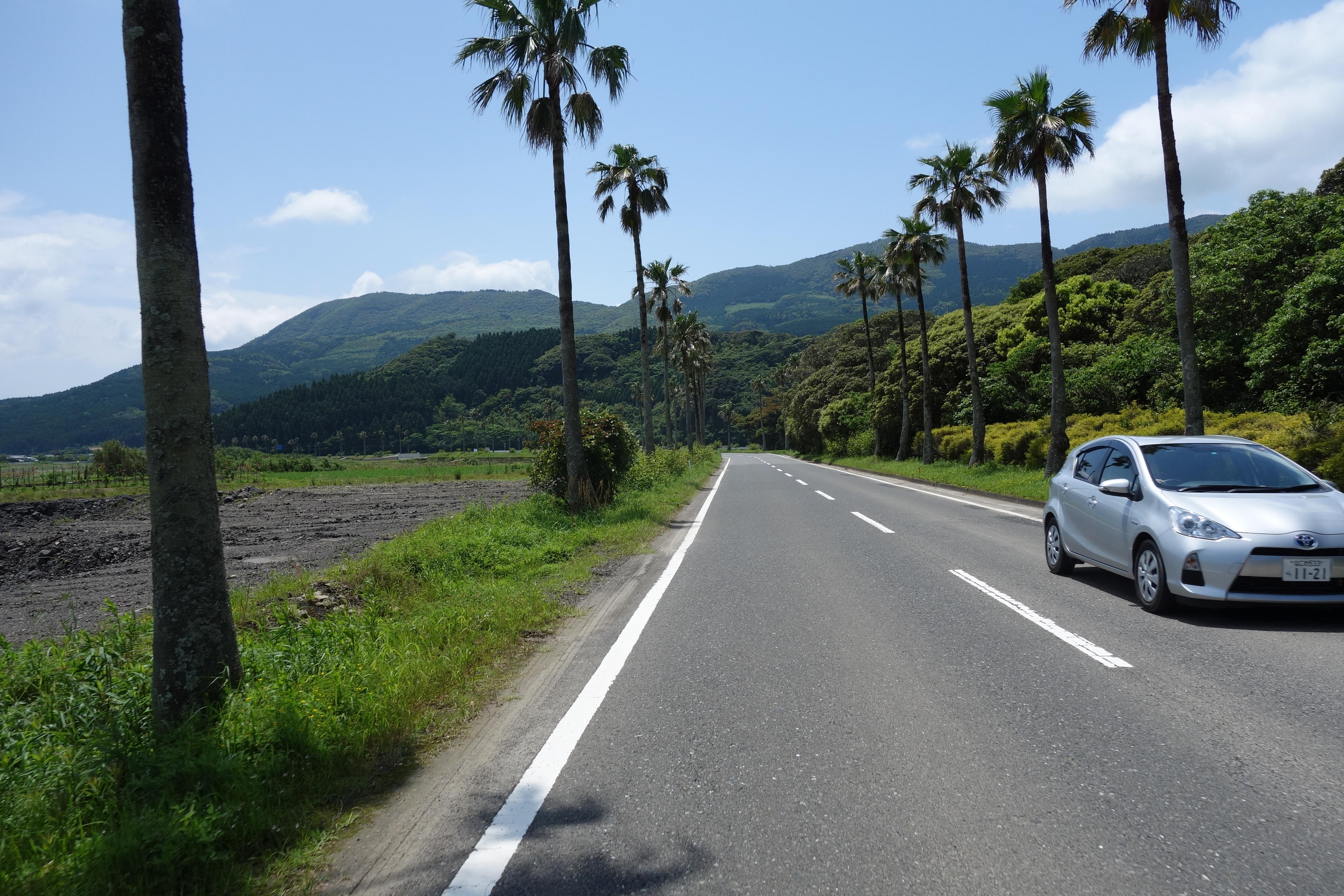 Display image page 画像