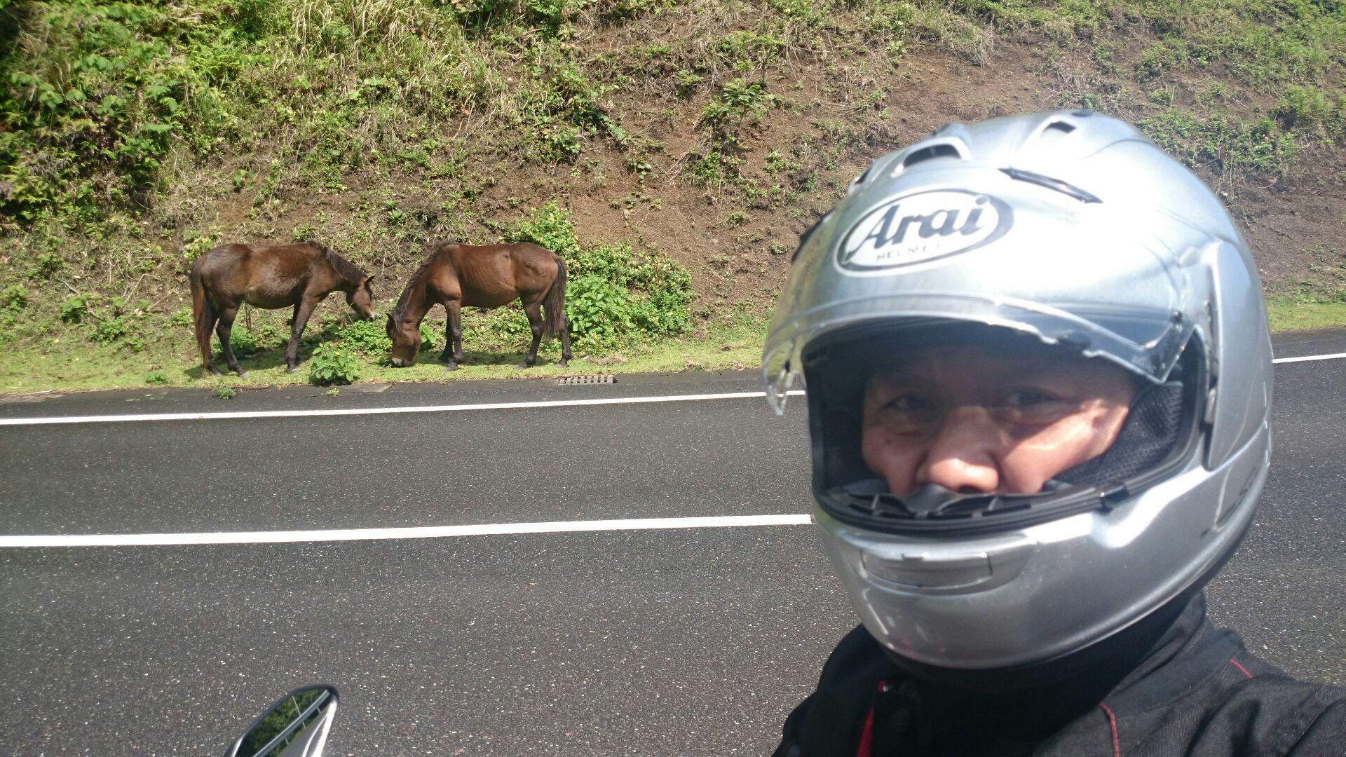 Display image page 画像