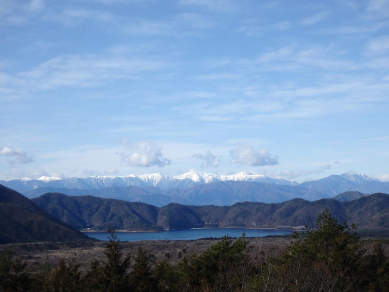 Display image page 画像