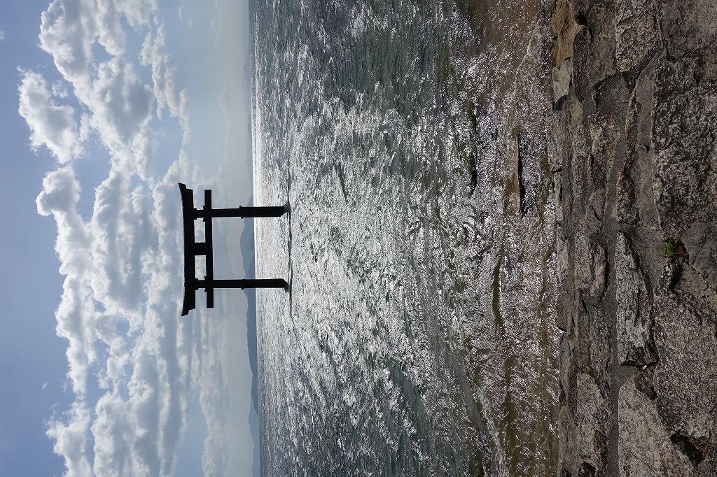 Display image page 画像