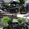 Kawasaki ZRX1200DAEG model 2008 SSB crash guards