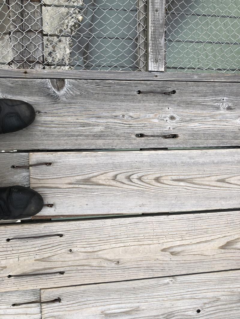 Display image page 画像