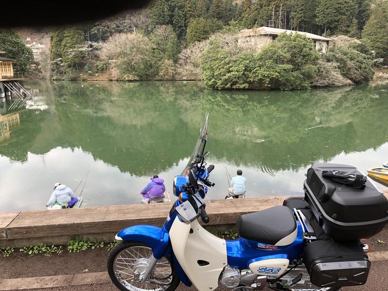 Display image page 画像