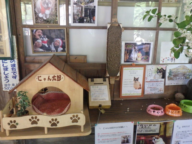 Display image page 画像