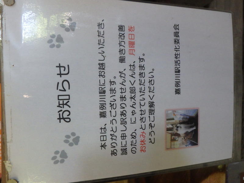 Display image page 画像