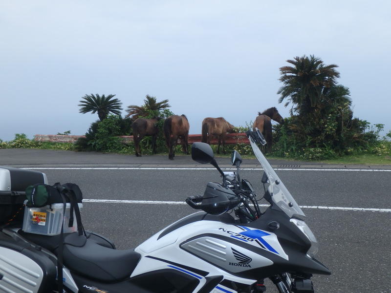 Display image page 画像