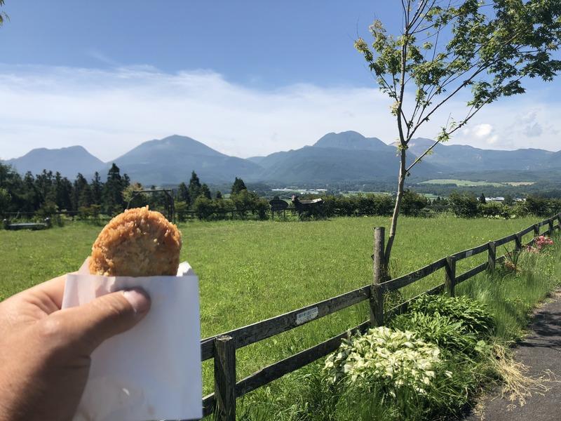 Display image page 画像