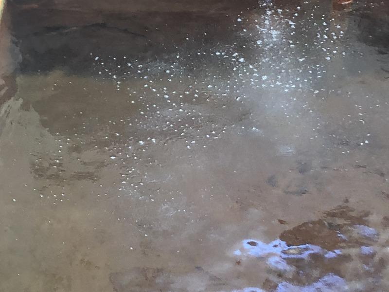 Display image page 画像