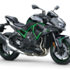 Kawasaki Z1000 H2 Crash bars 2019