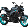 mt03_gris mt03_gris
