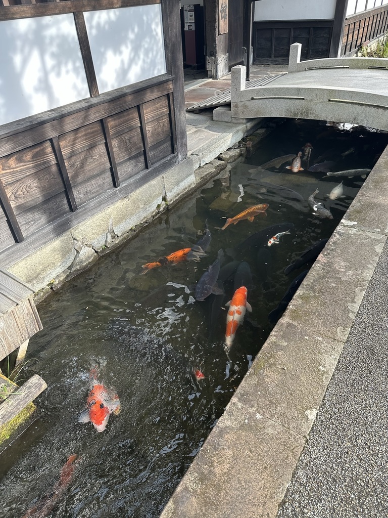 IMG_0539.jpeg